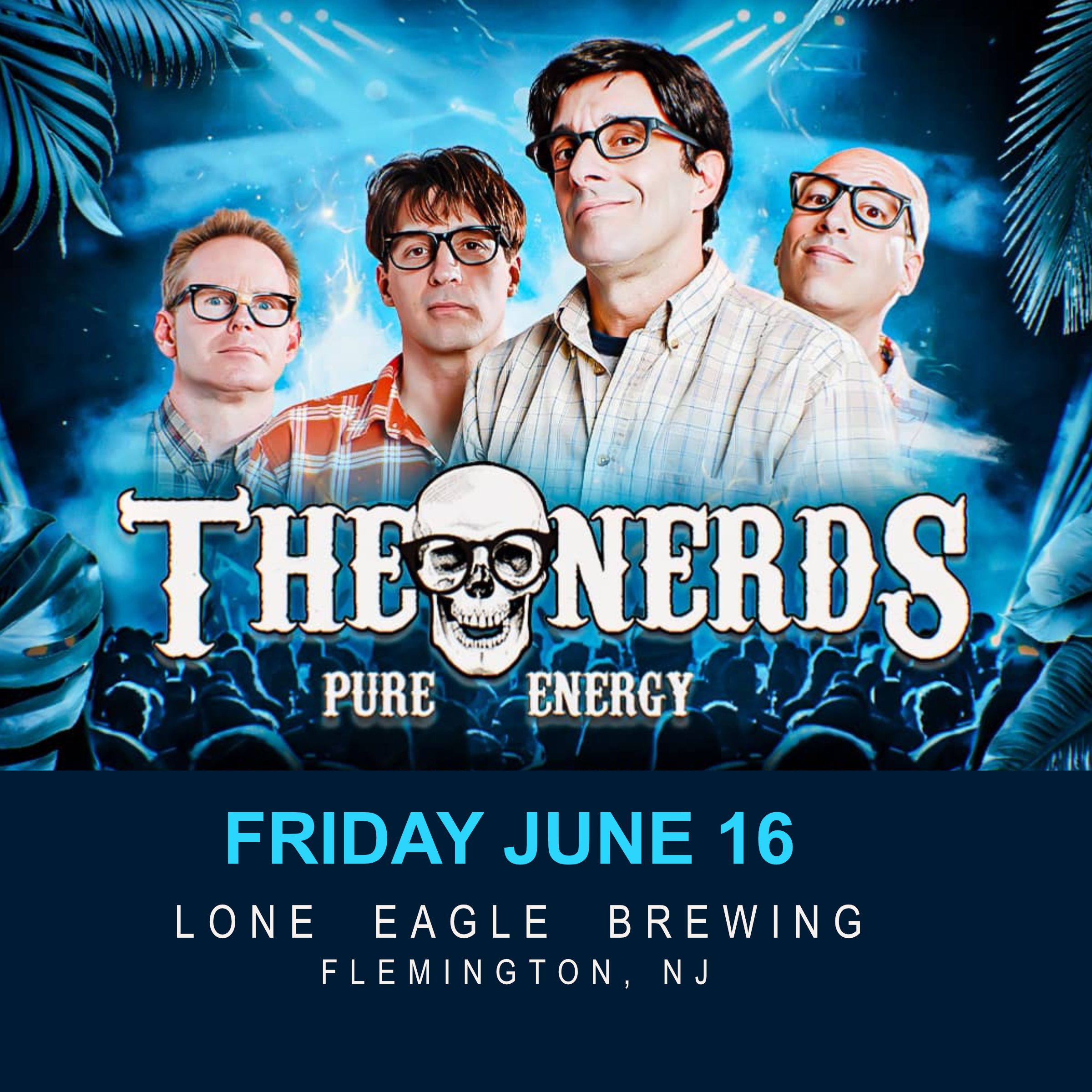 Concert - The Nerds